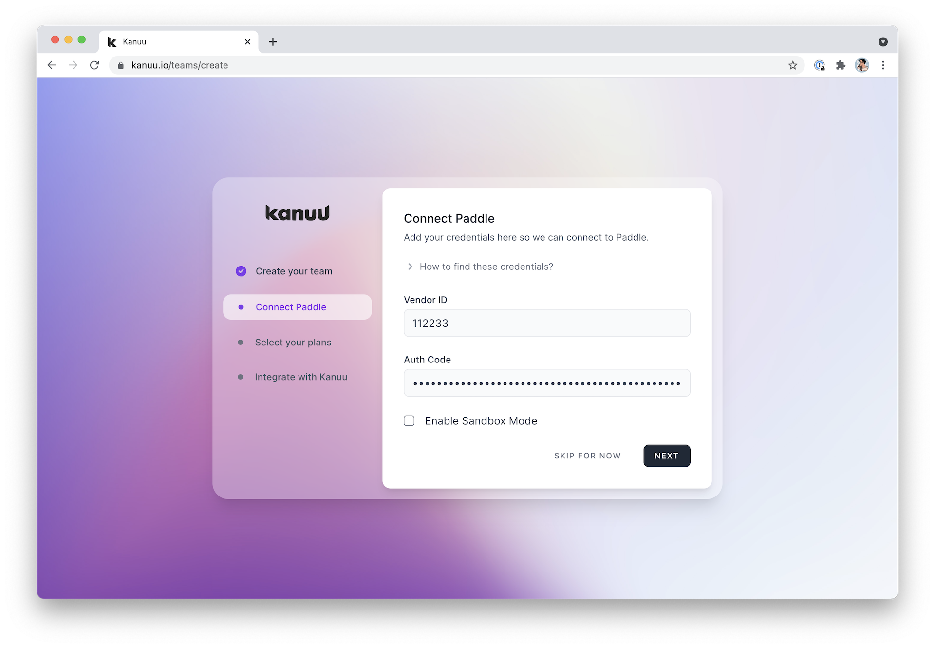 Kanuu's team onboarding page on the second step called "Connect Paddle".